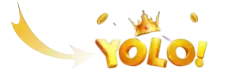 yolo download app